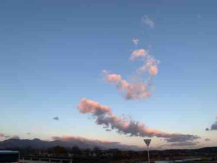 ゆぽ@いいね返しします