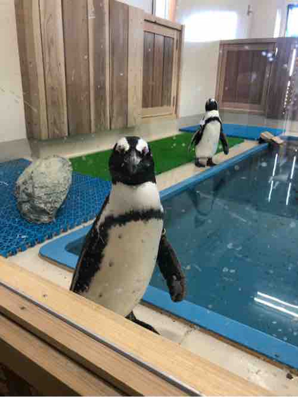 にこ/脂性肌/剛毛・多毛・癖毛