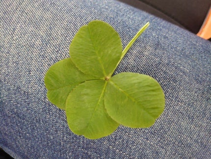 あや(*・∀・*)ノ