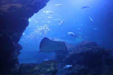 おしゃれになりたいOL