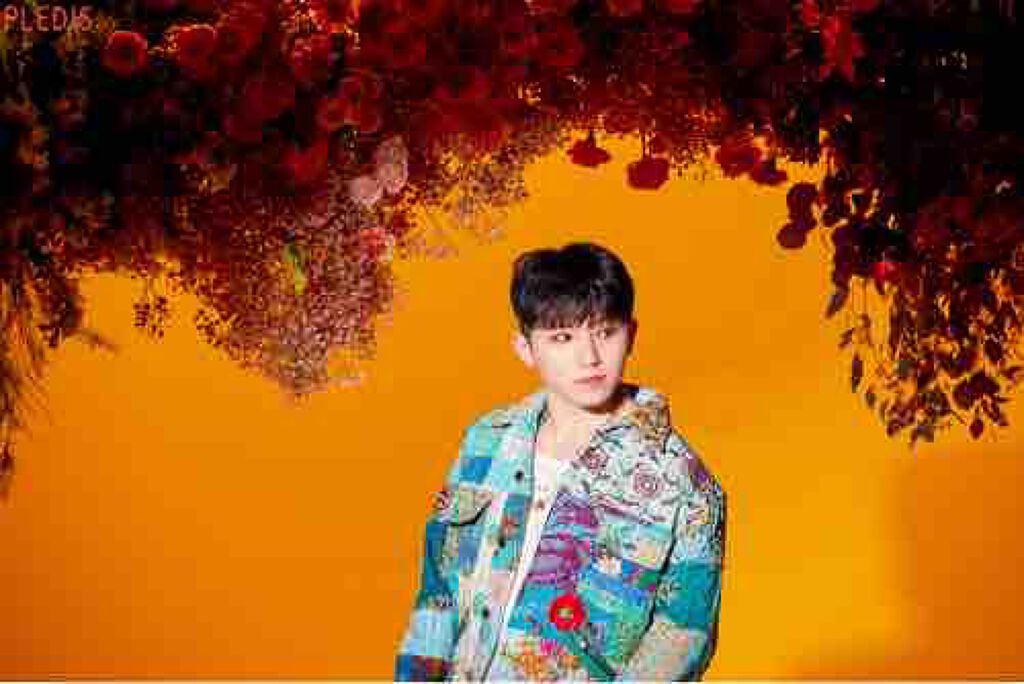 オレンジみかん