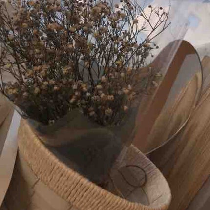 ぺぺちゃ フォロバ100!!です!