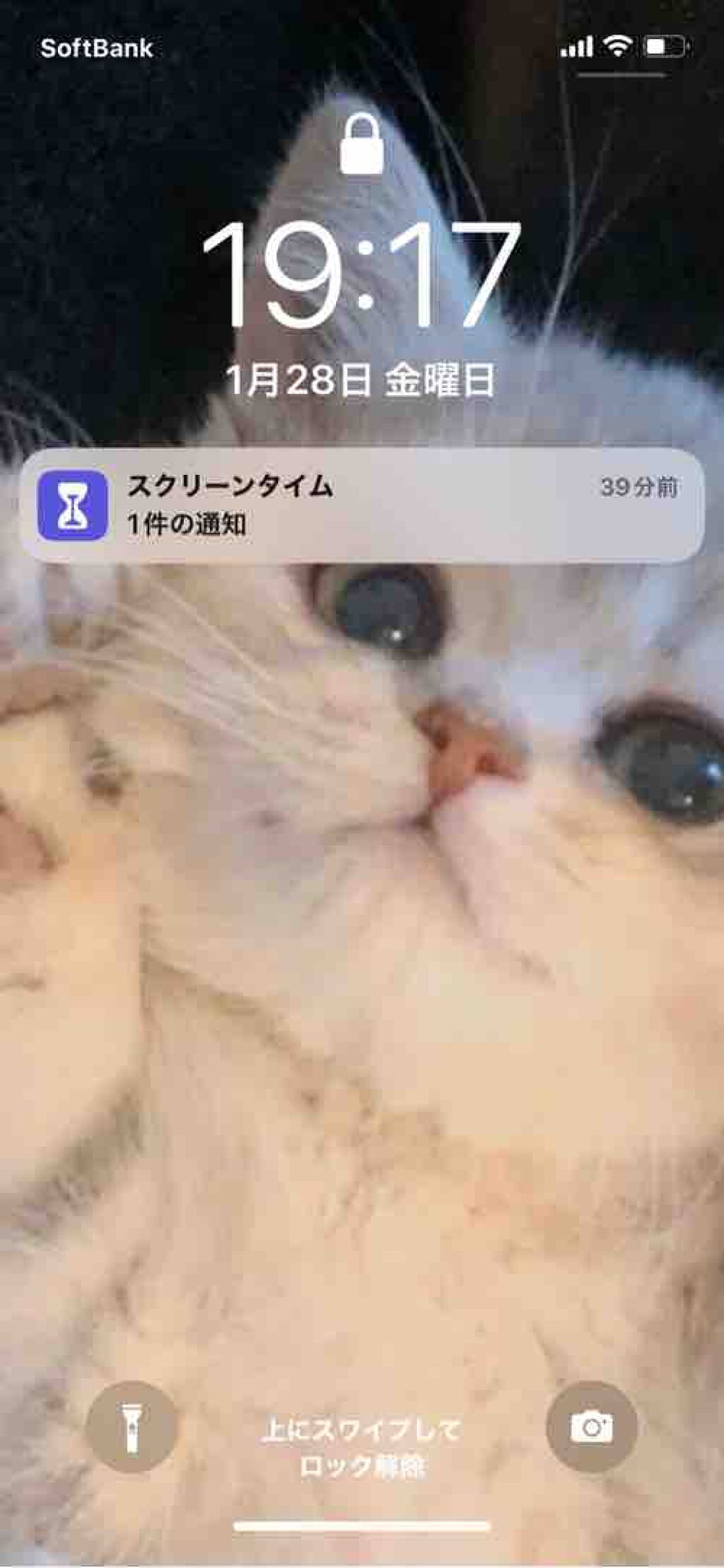 supreme_perfume_zskf