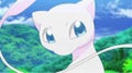 にゃん。