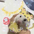 なゆ