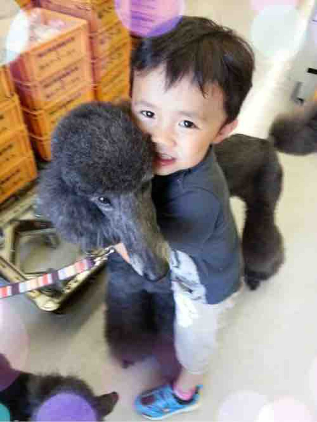 🐵𝕄𝕖𝕚𝕕𝕒𝕦🍅