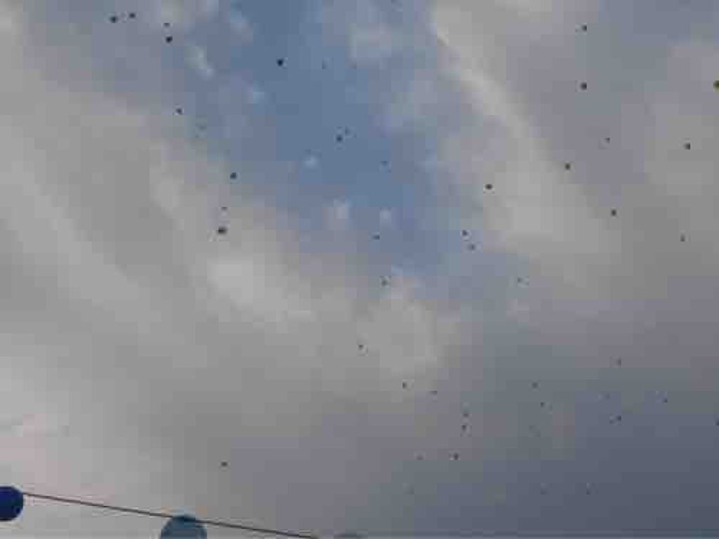 しおこんぶ🧸𖤐⡱@辞めました