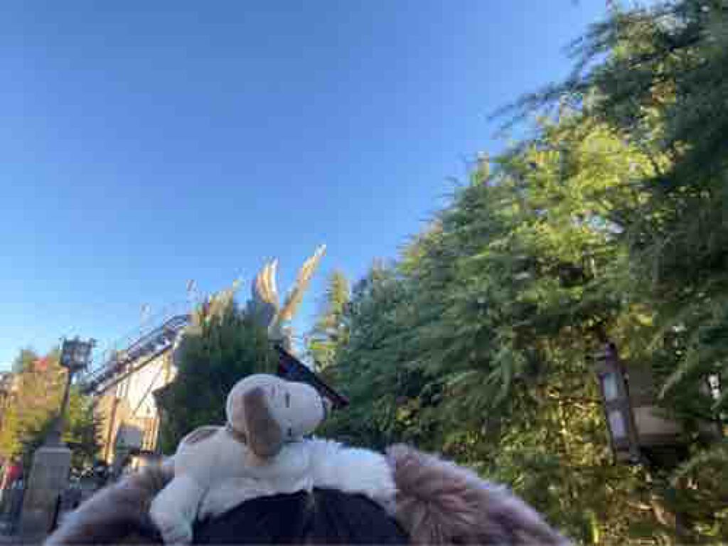 ハル⸜(*ˊᗜˋ*)⸝