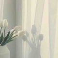 えりか