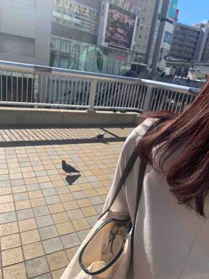 なしゅ