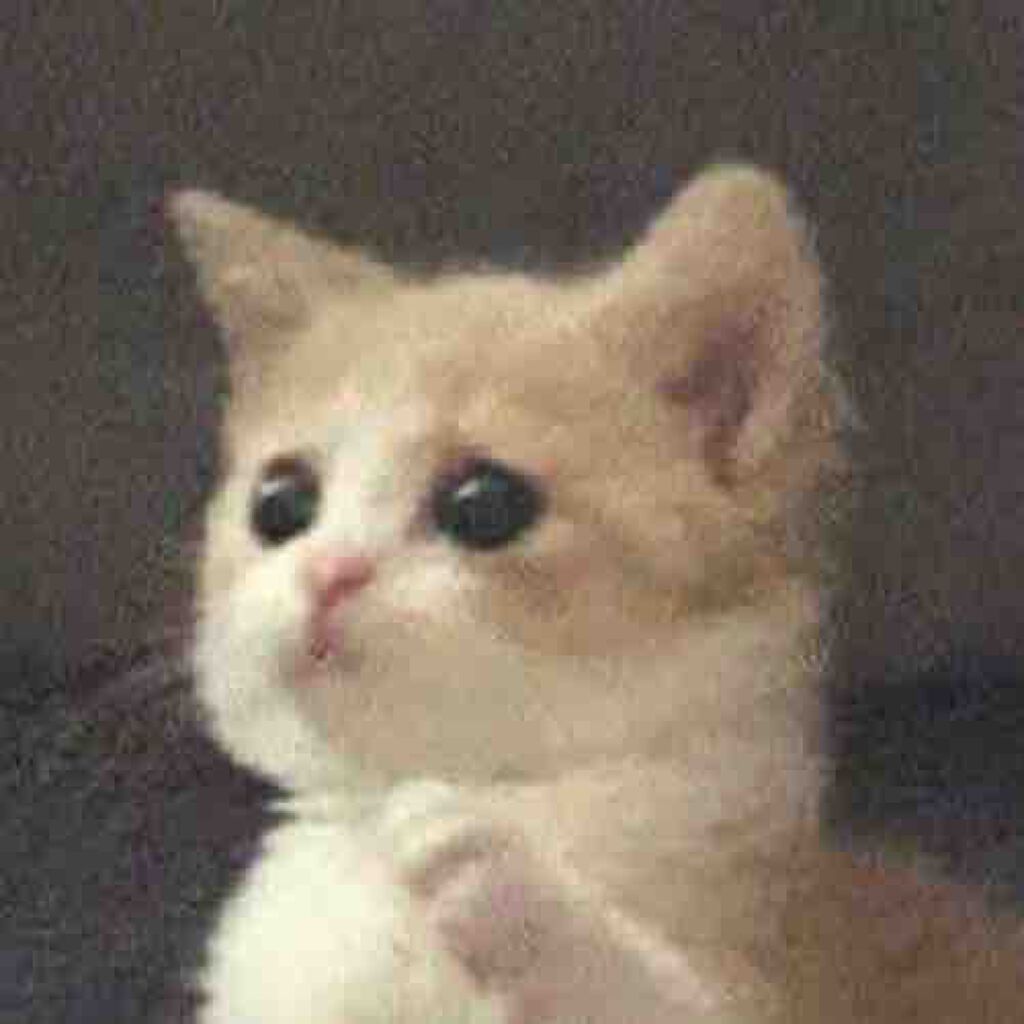 𝐩𝐞𝐫𝐬𝐨𝐧𝐚