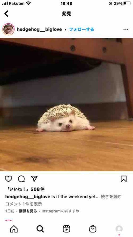 ゆい