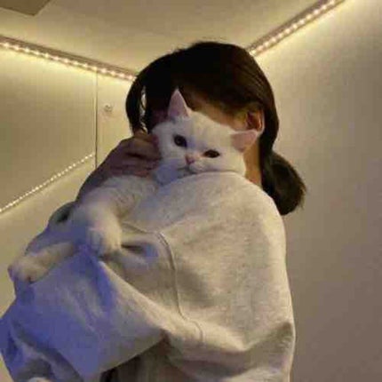 白ぶどう☼フォロバ100☼