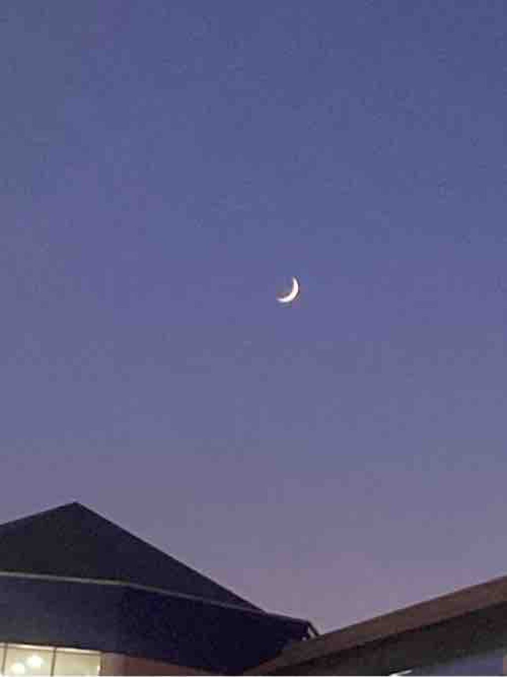 colorful_beauty_53tc