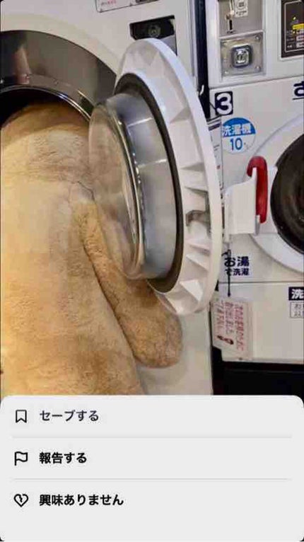 垢抜けたい学生🐹