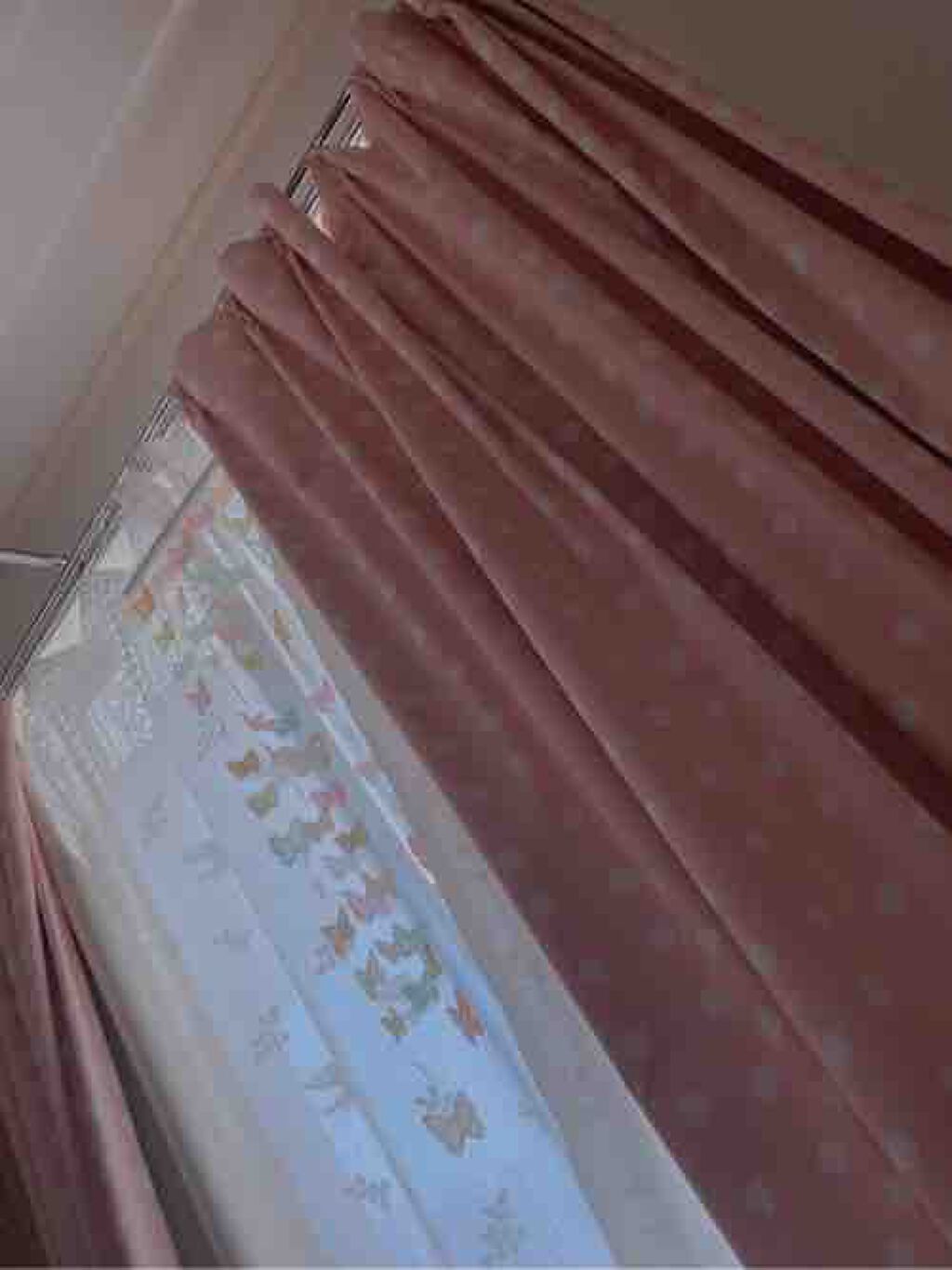 - ̗̀ ෆ みう ෆ ̖́-