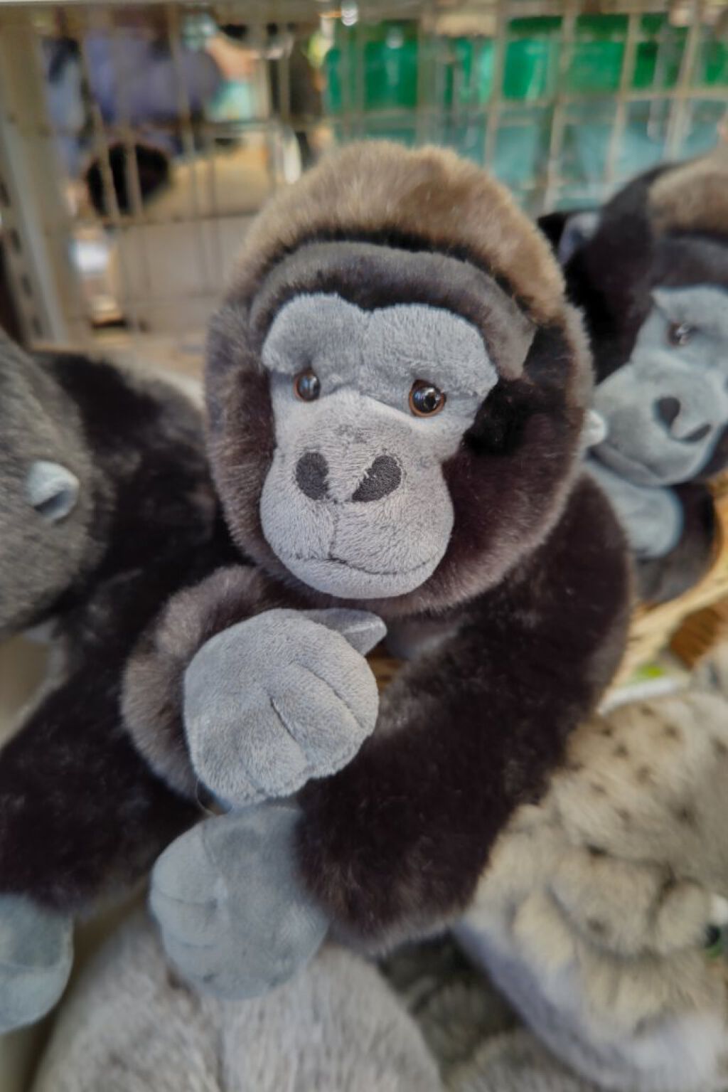 ゴリラちゃん🦍