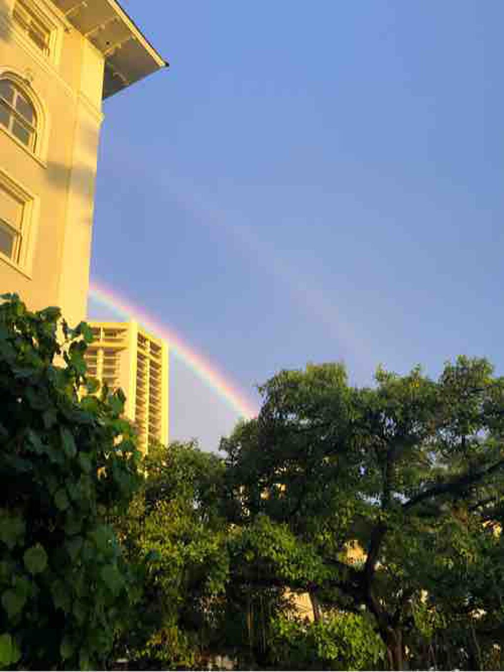 ちな🌺_フォロバ