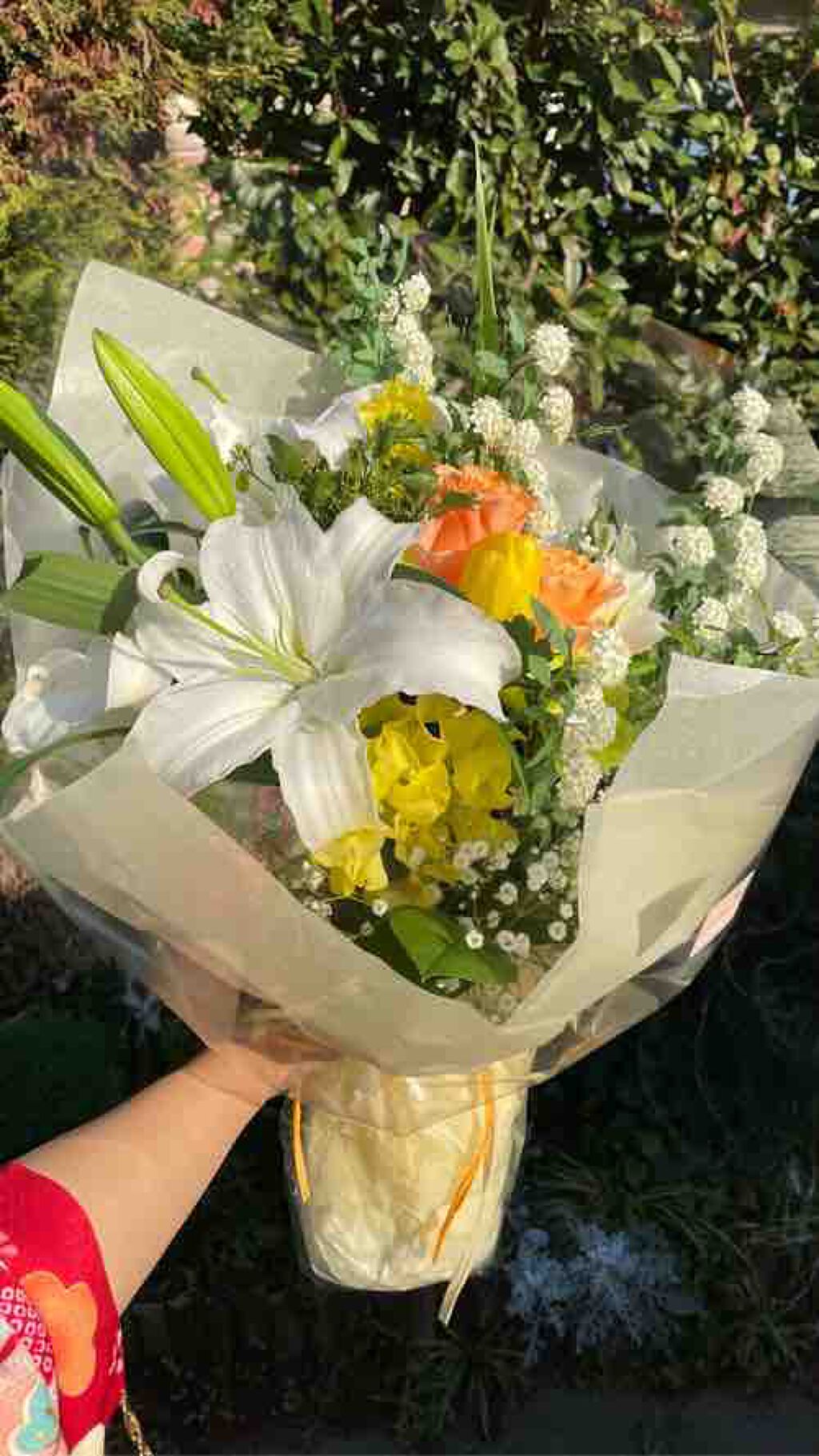 可愛くなる( ꒪⌓︎꒪)