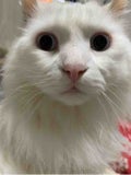 自分のためのコスメ日記
