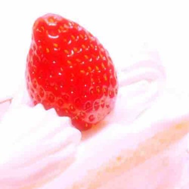 ð·ïŸïŸð·