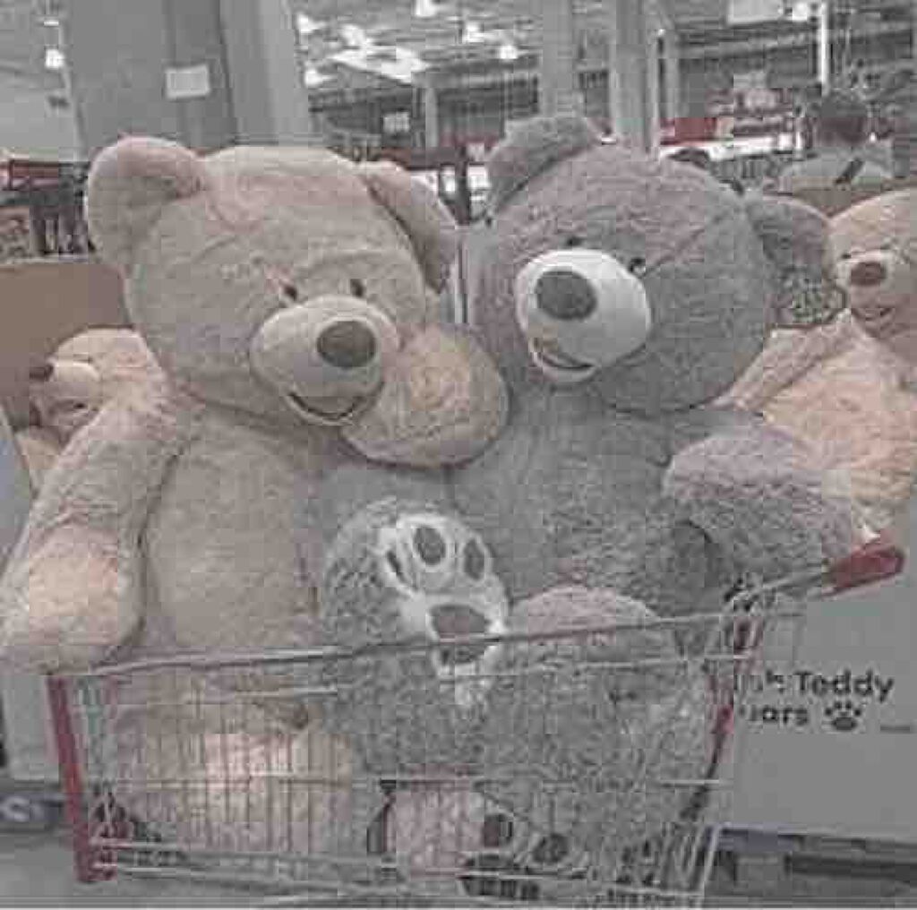 くまのこ ような