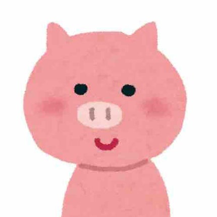 🐷こぶた🐷【毛穴改善中】