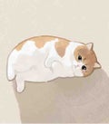 tam