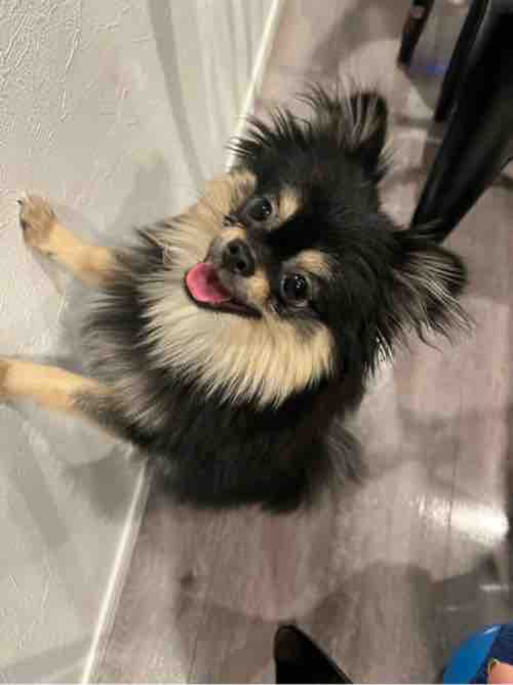 ゆっこ♪。.:＊