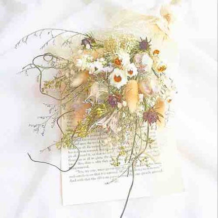 すず@フォロバ100