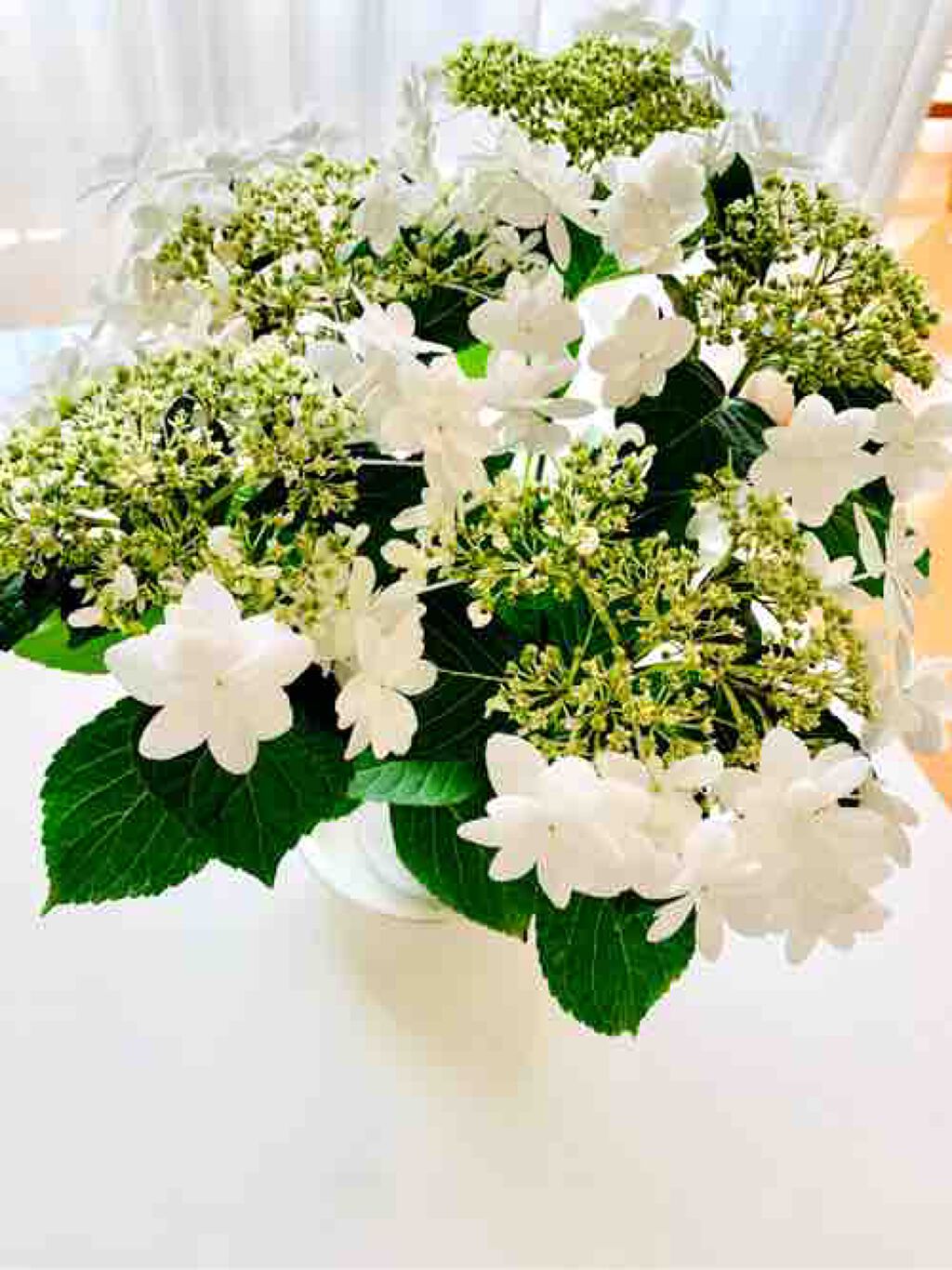 かなみ@フォロバ