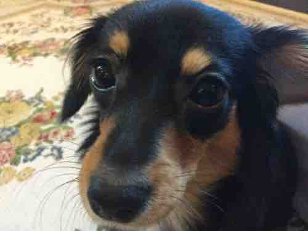 ちー٩(๑❛ᴗ❛๑)۶