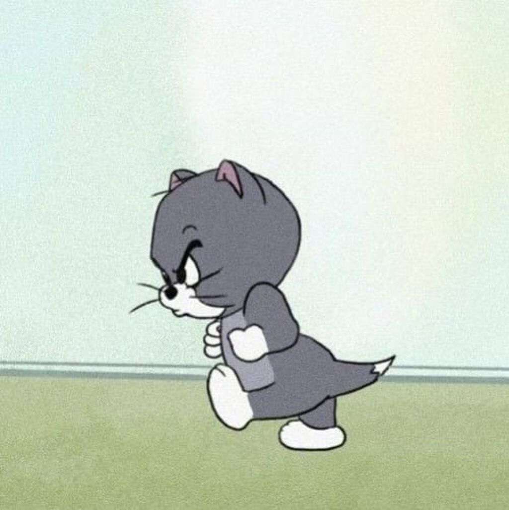 🌵サボテン🌵