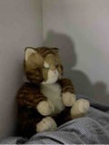 りー