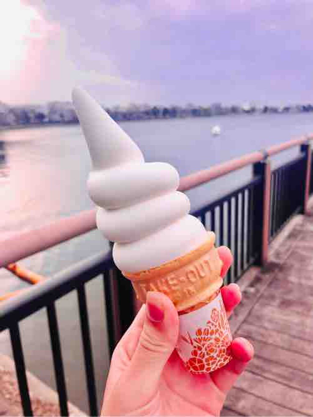 fantastic_rouge_qr3v