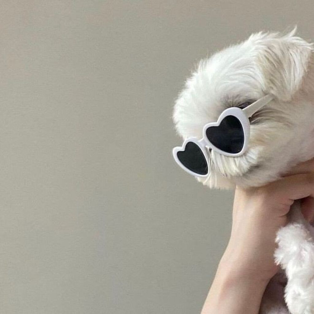 supreme_perfume_7wou