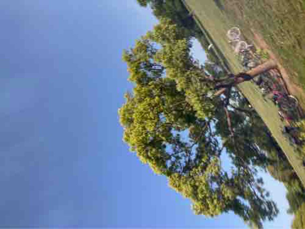 Ｒｉｏ『相互』