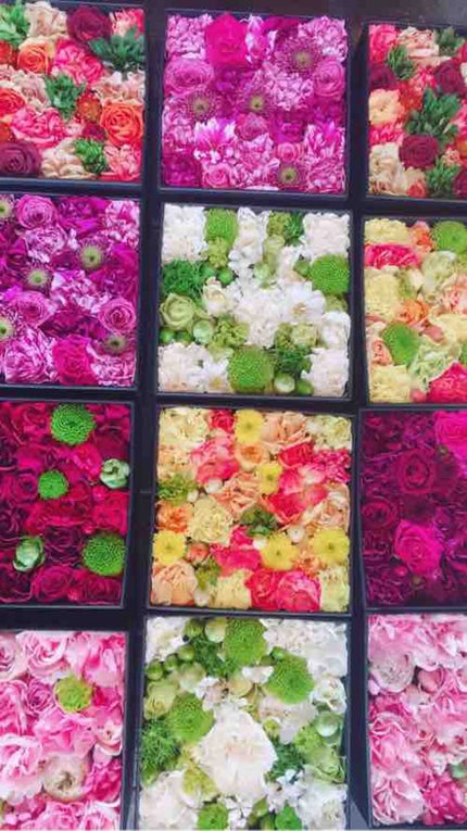 ジャスミン@イエベ春🌼