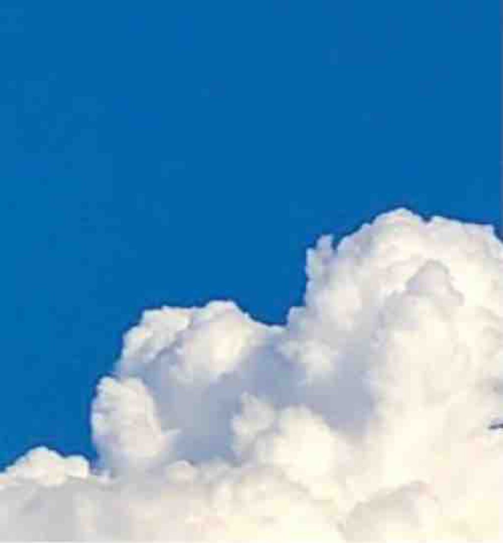 오토은️️️⛅️