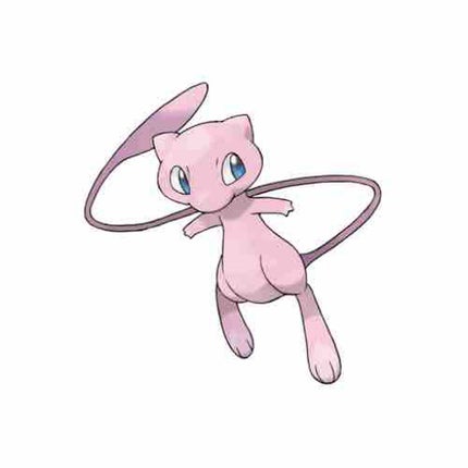 ねこさん🐈⬛🤍