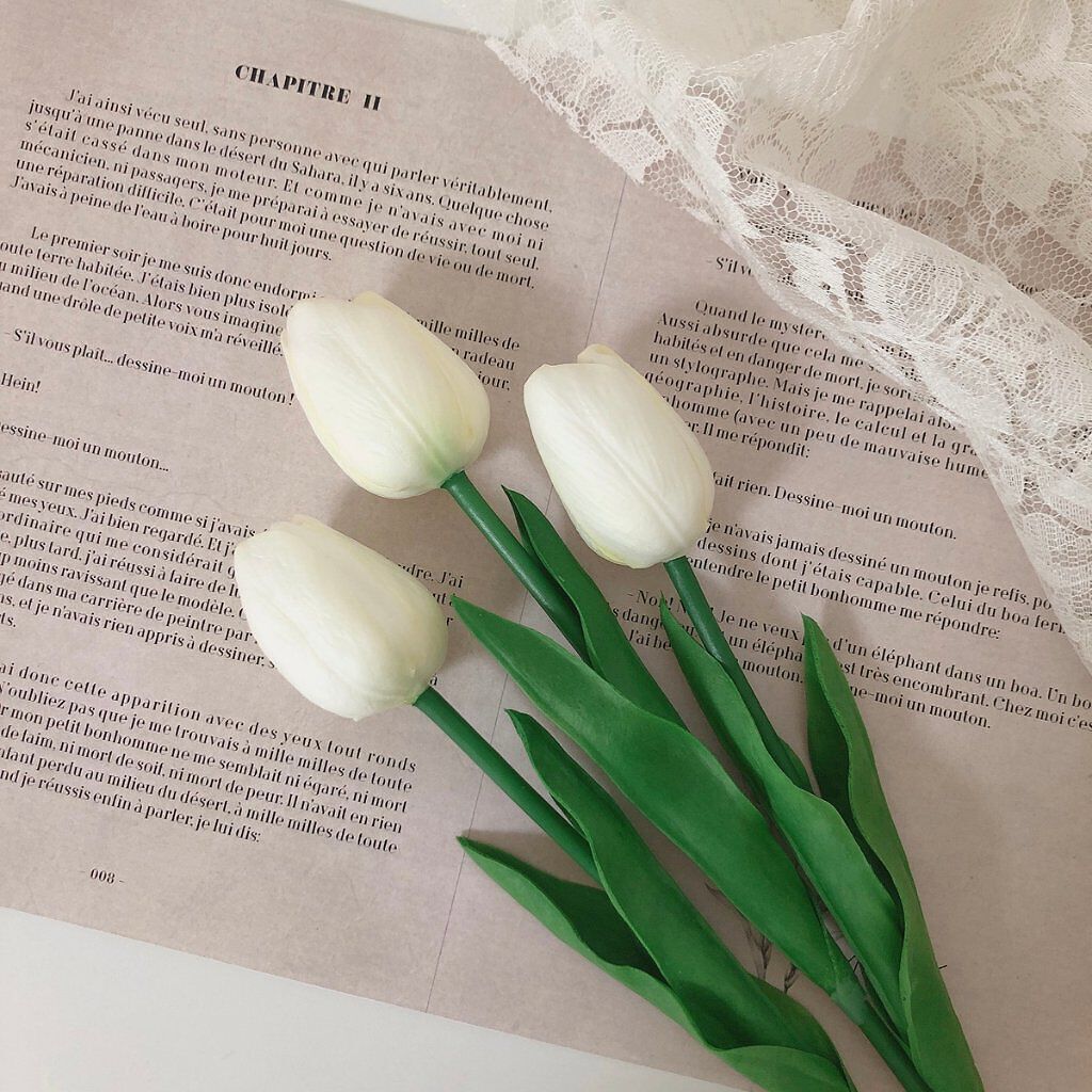 𝕊𝕥𝕖𝕝𝕝𝕒𝕣 ☽⋆゜