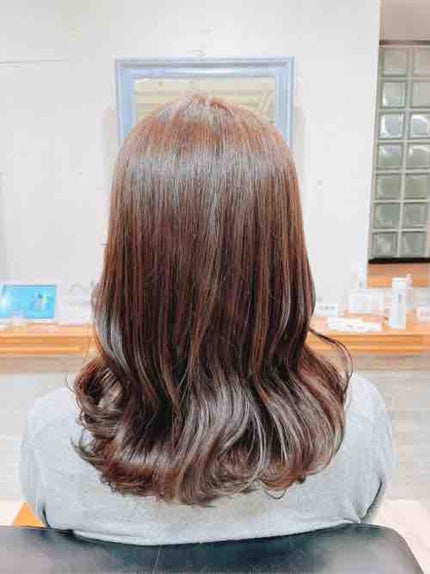 コスパ重視の美容ヲタク🍨ソルベ