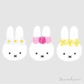 うさこ🐰