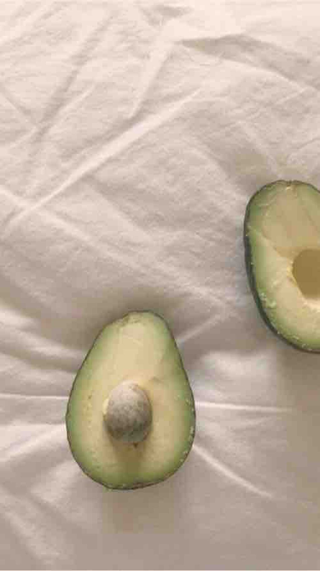 𝙃𝙞𝙮𝙤𝙧𝙞