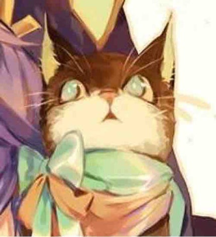 ✳︎まひる✳︎