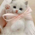 のの