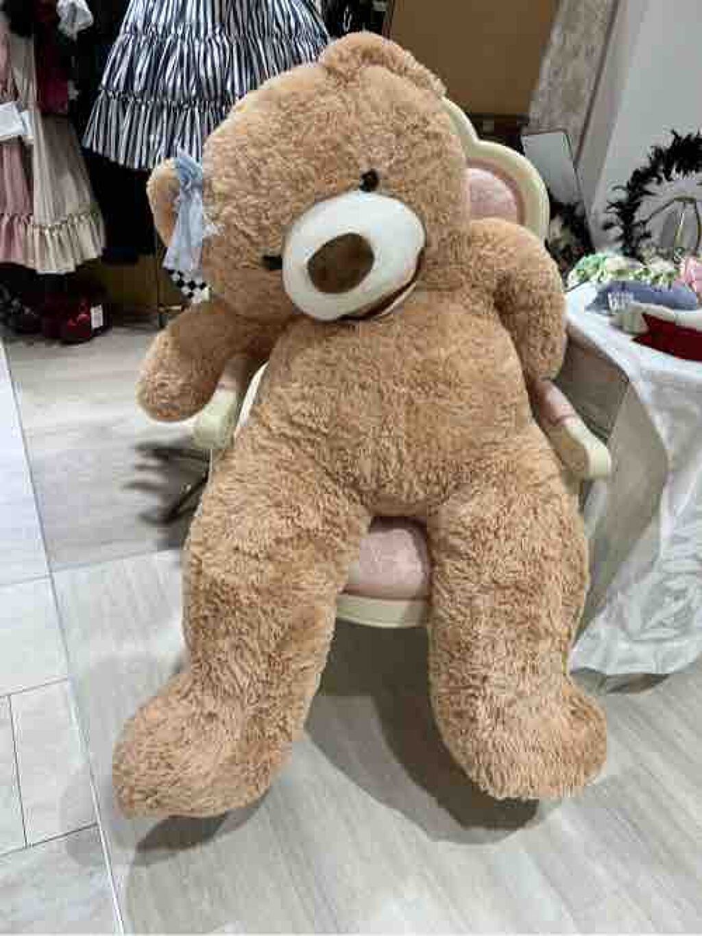 なこ@フォロバ100%