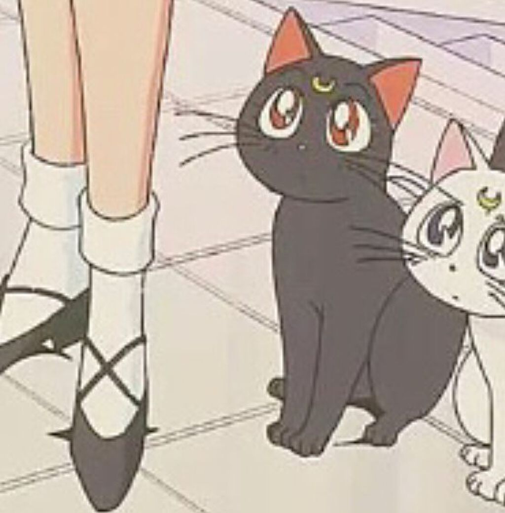 朱羅。（しゅら）