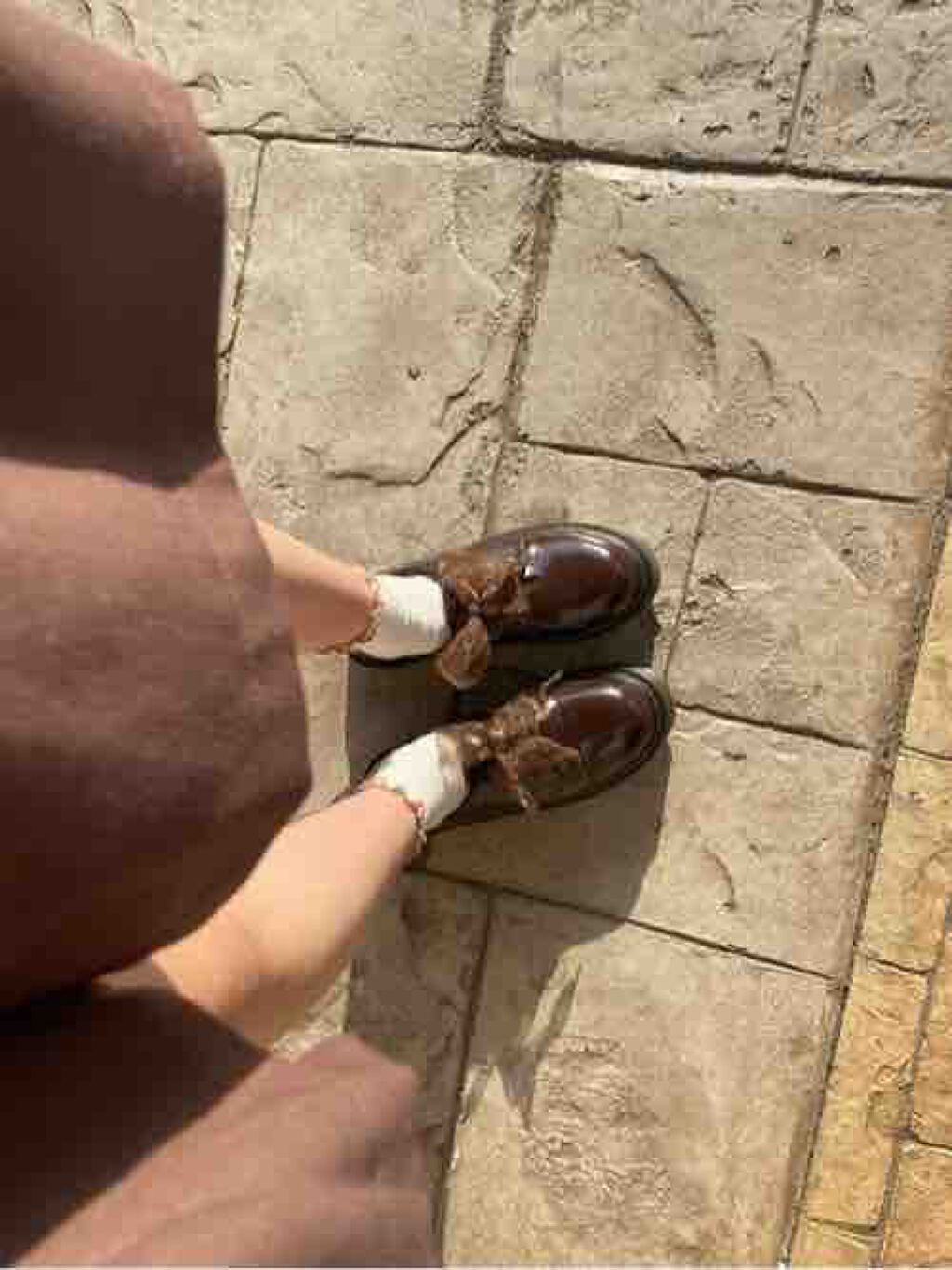 しっぽのイヌ🐕 ͗ ͗