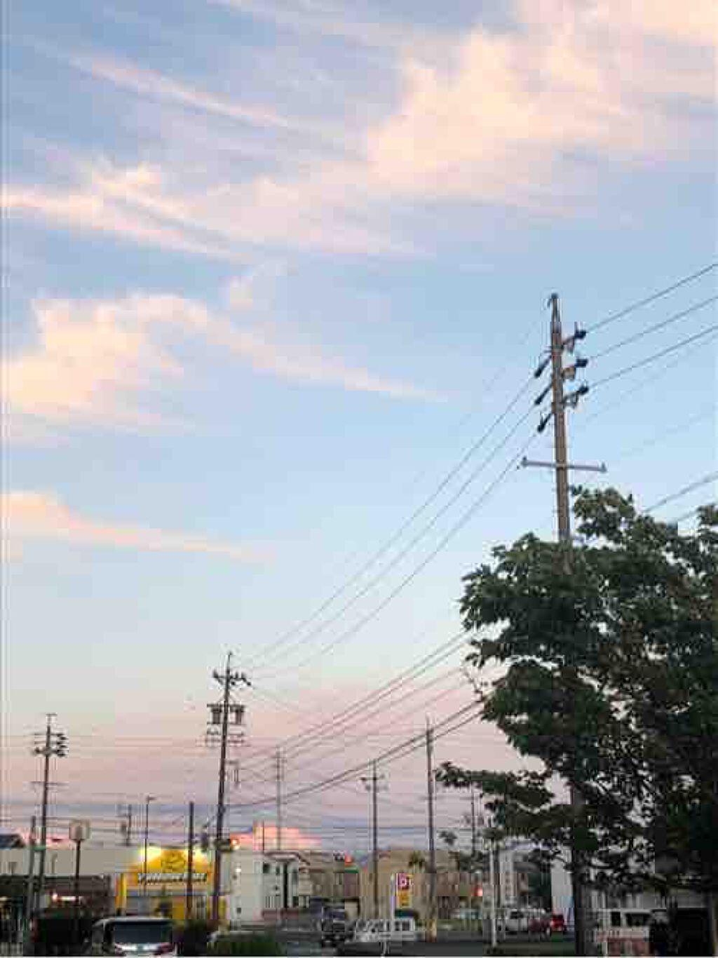 ユ         キ°ʚ♡ɞ°